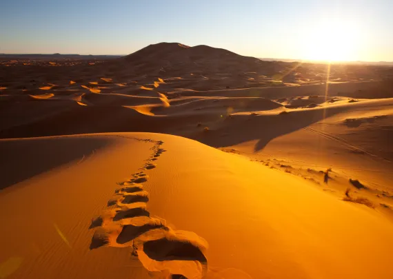 A vast expanse of the Sahara Desert with undulating sand dunes under a clear blue sky.